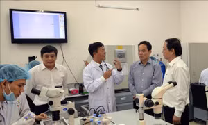 Đào tạo nhân lực trình độ quốc tế - Bài cuối: Giáo dục đại học nỗ lực hội nhập quốc tế