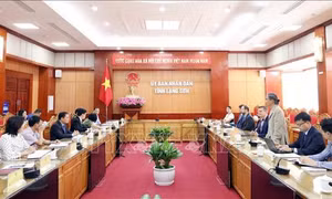 Hơn 9.000 tỷ đồng đầu tư xây dựng các nhà máy điện gió tại Lạng Sơn