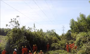 Bảo vệ hành lang lưới điện trước nguy cơ cháy rừng