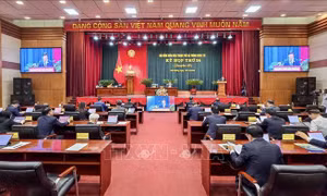 Hải Phòng bổ sung 387 người làm việc hưởng lương từ ngân sách Nhà nước