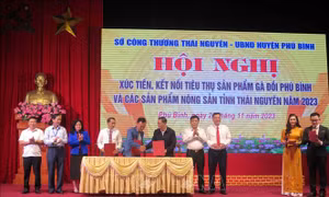 Nâng tầm thương hiệu 'Gà đồi Phú Bình'