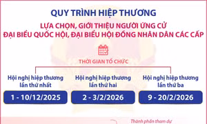 Quy trình hiệp thương lựa chọn, giới thiệu người ứng cử đại biểu Quốc hội, đại biểu Hội đồng nhân dân các cấp