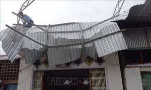 Dông lốc ở An Giang làm 1 người chết, trên 600 căn nhà bị sập và tốc mái
