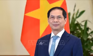 Vai trò của thương mại và phát triển trong ứng phó và phục hồi sau đại dịch