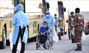  Thêm một bệnh nhân nhiễm nCoV hồi phục nhờ thuốc điều trị HIV