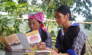 Giảm thiểu tình trạng tảo hôn, hôn nhân cận huyết thống trong vùng dân tộc thiểu số