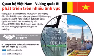 Quan hệ Việt Nam - Vương quốc Bỉ phát triển trên nhiều lĩnh vực