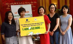 Hội Chữ thập đỏ Việt Nam tiếp nhận hơn 1,4 tỷ đồng hỗ trợ khắc phục hậu quả dịch COVID-19