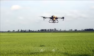 Để ĐBSCL bứt phá về khoa học và công nghệ - Bài 2: Ứng dụng khoa học, công nghệ vào nông nghiệp, thủy sản