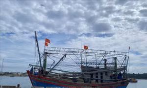 Quảng Ngãi: Hoãn các cuộc họp chưa cần thiết để phòng, chống bão số 5