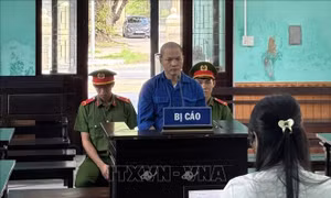Tuyên phạt 3 năm 6 tháng tù bị cáo bẻ gãy 'Ngai vua triều Nguyễn'