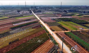 Huyện Văn Giang (Hưng Yên) hoàn thành xây dựng xã nông thôn mới nâng cao