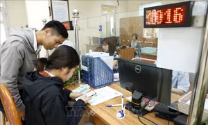 Phê duyệt Chiến lược phát triển ngành Bảo hiểm xã hội Việt Nam