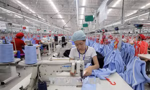 Phê chuẩn Hiệp định CPTPP - Bài 3: Vươn tới chuẩn mực nền kinh tế thị trường hiện đại và hội nhập