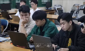 Đào tạo nguồn nhân lực IoT tại Đà Nẵng - Bài cuối: Nền tảng công nghệ cho Trung tâm tài chính quốc tế