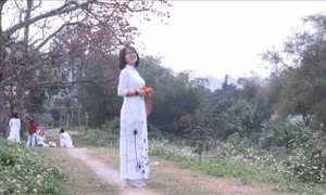 Thiếu nữ duyên dáng dưới khung trời rực màu hoa gạo tháng 3 