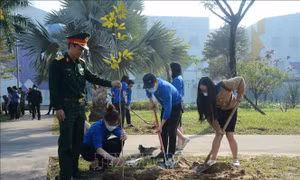 Tuổi trẻ Đà Nẵng hăng hái tham gia Tết trồng cây
