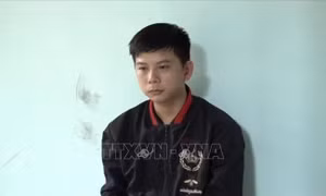 An Giang: Khởi tố, tạm giam đối tượng lừa đảo hơn 2 tỷ đồng qua mạng xã hội