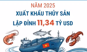 Năm 2025, xuất khẩu thủy sản lập đỉnh 11,34 tỷ USD