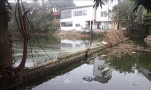 Hà Nội: Giải quyết vướng mắc liên quan giải tỏa mặt bằng hồ câu Xuân Quế, Sơn Thủy