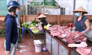 Nghệ An mở nhiều điểm bán thực phẩm lưu động phục vụ người dân