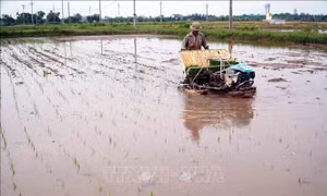Trung du và Đồng bằng Bắc Bộ đảm bảo đủ điều kiện lấy nước gieo cấy đợt 1