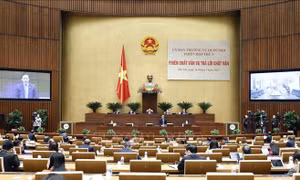 Cần có chế tài mạnh mẽ hơn về việc 'đấu giá bỏ cọc'