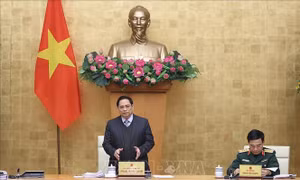 Thủ tướng chủ trì Phiên họp Chính phủ chuyên đề xây dựng pháp luật tháng 1