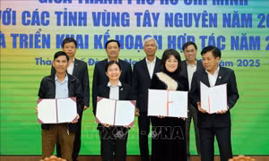 Thành phố Hồ Chí Minh tiếp tục hợp tác với 5 tỉnh Tây Nguyên trên nhiều lĩnh vực