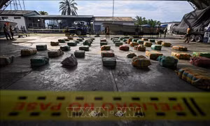 Hải quân Colombia thu giữ gần 4 tấn ma túy