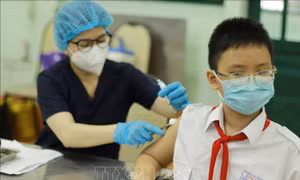 Thành phố Hồ Chí Minh: Đảm bảo hài hòa phòng, chống dịch COVID-19 và phát triển kinh tế - xã hội