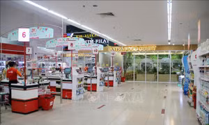 Phát triển hạ tầng thương mại - Bài 2: Kênh phân phối đa tiện ích