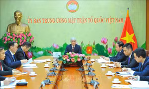 Thúc đẩy giao lưu giữa các tổ chức chính hiệp Trung Quốc và Mặt trận Tổ quốc Việt Nam