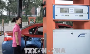 Giá dầu 'nhích' nhẹ nhờ sự ổn định của thị trường toàn cầu