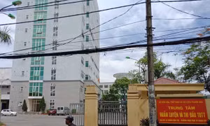 Tạm giữ hình sự nguyên Phó Giám đốc Sở Văn hóa - Thể thao và Du lịch tỉnh Thanh Hóa