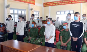 Mức án thích đáng cho các đối tượng xâm hại tài nguyên rừng