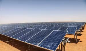 EU tăng tốc phát triển pin lưu trữ để giảm lãng phí điện gió và điện Mặt Trời