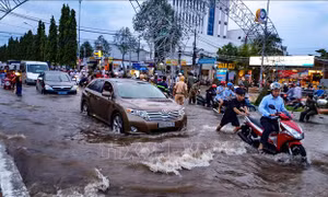 Chủ tịch TP Cần Thơ yêu cầu trực 24/24h những ngày triều cường dâng cao