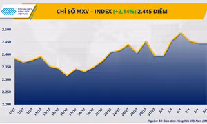 Giá bạc bứt phá ngoạn mục, MXV-Index tăng hơn 2%