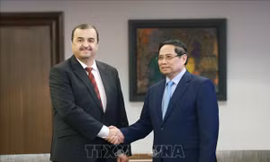 Thủ tướng Phạm Minh Chính làm việc với các Bộ, Tập đoàn của Algeria 