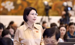 Quản lý chặt chẽ giá thuốc, làm cơ sở pháp lý tổ chức đấu thầu