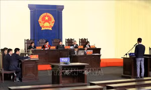 Vụ đánh bạc nghìn tỷ: Các đại lý khai 'tham gia do nghĩ rằng hệ thống Rikvip là hợp pháp'