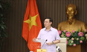 Phó Thủ tướng Vương Đình Huệ: Sớm kết luận liên quan đến vụ Asanzo, làm rõ đúng sai