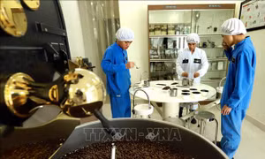 Algeria - thị trường tiềm năng cho hàng nông sản, thực phẩm