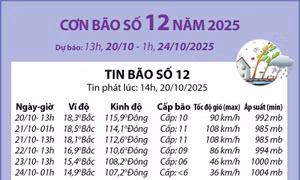 Đường đi của bão số 12 năm 2025 (dự báo từ 13h ngày 20/10 đến 1h ngày 24/10)
