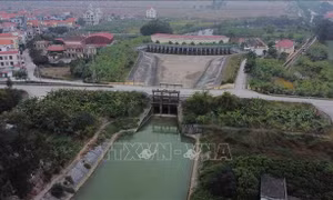Bảo đảm an toàn hệ thống đê điều trong mùa mưa lũ