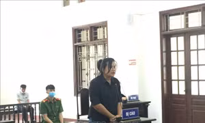 Giả nhân viên sân bay để lừa đảo chiếm đoạt tài sản