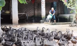 Đổi thay ở đất Bình Xuyên