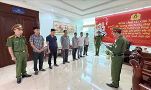 Khởi tố 10 đối tượng để điều tra, làm rõ hành vi đưa, nhận hối lộ, khai thác lâm sản trái phép