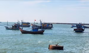 Tìm giải pháp xử lý bồi lấp ở cảng Bến Lội - Bình Châu